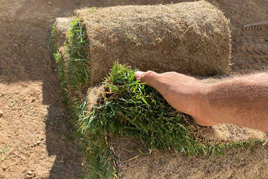 Alta qualità Prato a rotoli di alta qualità