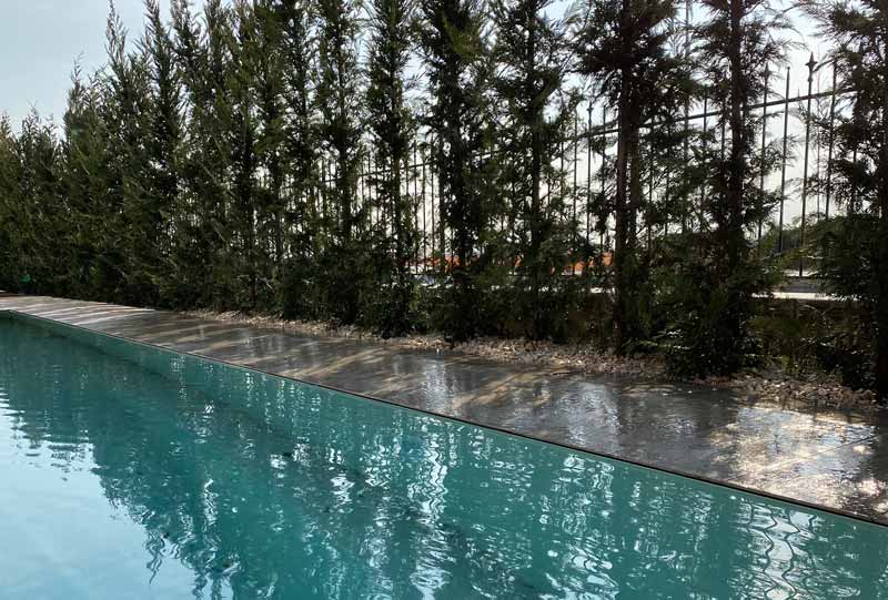 Bordo piscina Siepe e ciottoli a bordo piscina