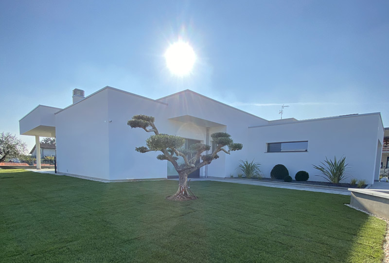 Casa moderna Casa moderna con ampio prato e ulivi secolari