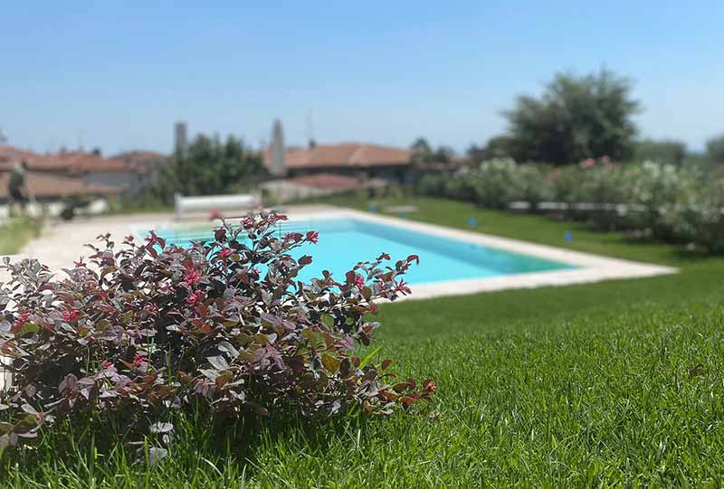 Giardino tra i vigneti 3 Prato con vista sulla piscina