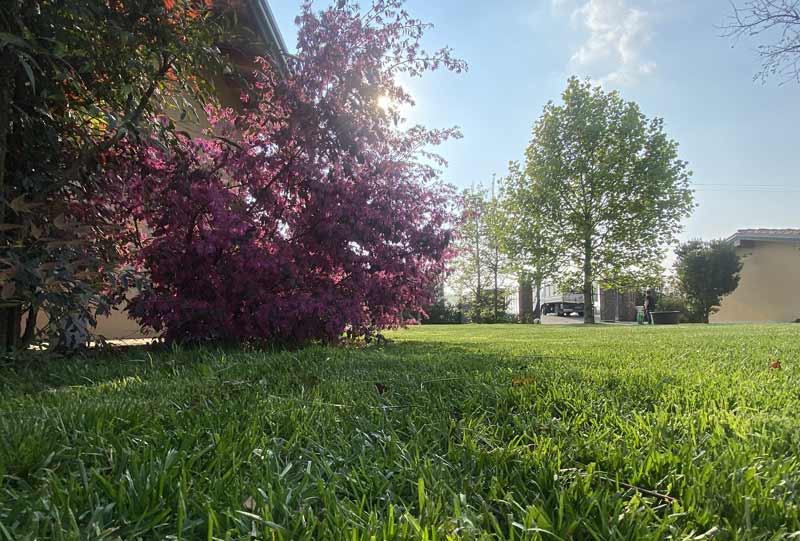 Prato ampio Cascinale con ampio prato e alberi