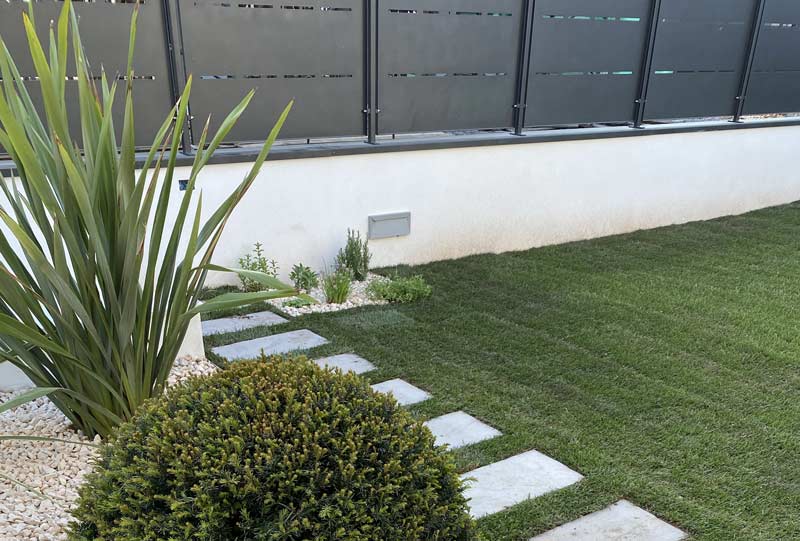 Sempreverde Piccolo prato e aioula con taxus e phormium