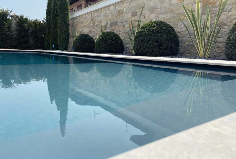 Ulivo secolare 2 Bordo piscina con phormium e taxus