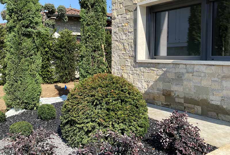 Ulivo secolare 4 Realizzazione delle aiuole d'ingresso