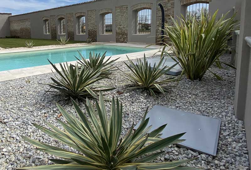 Villa con piscina Villa moderna con agavi a bordo piscina
