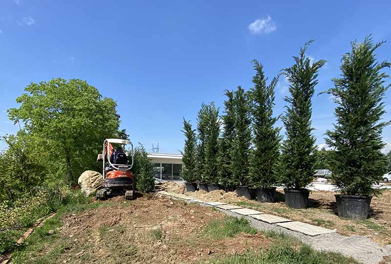 Zona relax 4 Realizzazione del giardino e posa degli alberi